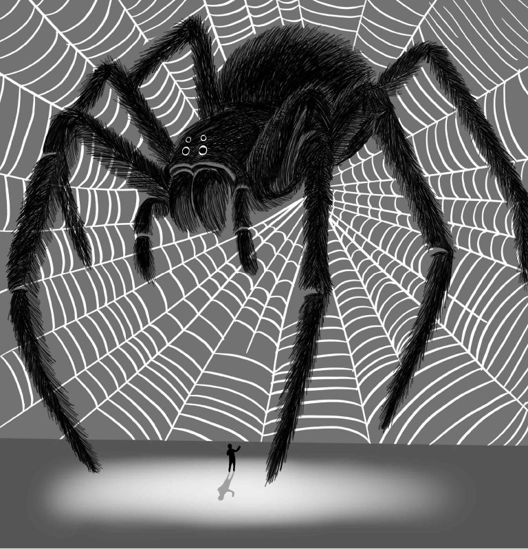 ilustración araña